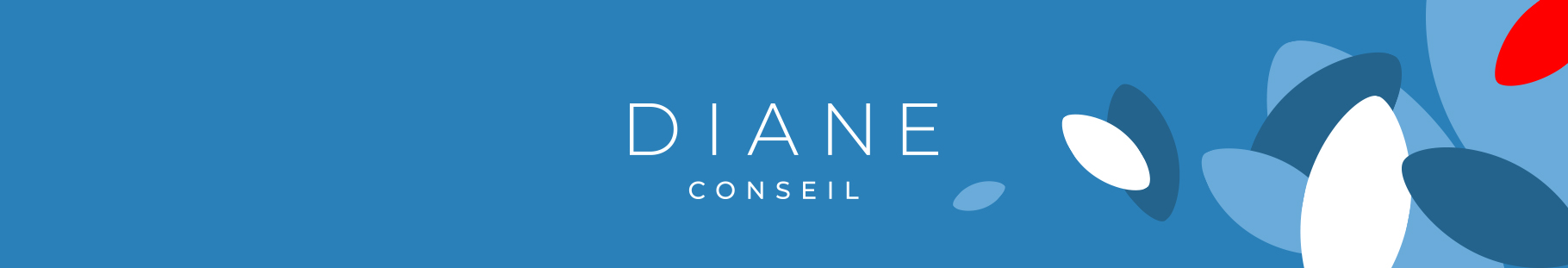 Diane conseil, cabient de recrutement de cadres dans le secteur public en france